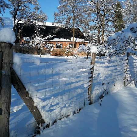 Gite Spacieux Et Cosy A La Campagne Proche De Strasbourg Achenheim Ngoại thất bức ảnh