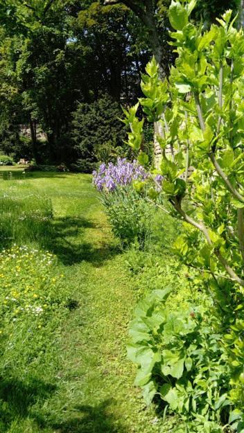Gite Spacieux Et Cosy A La Campagne Proche De Strasbourg Achenheim Ngoại thất bức ảnh