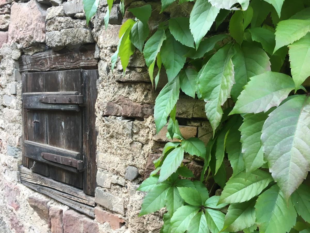 Gite Spacieux Et Cosy A La Campagne Proche De Strasbourg Achenheim Ngoại thất bức ảnh